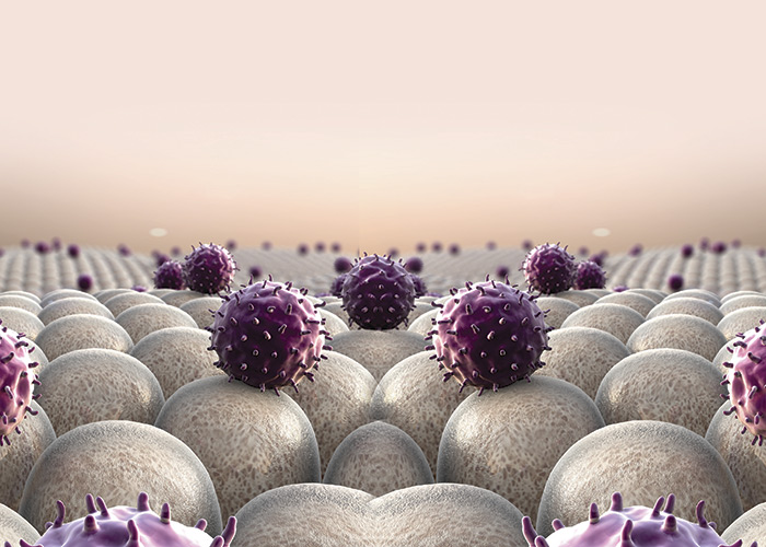 Microrganismos e sua influência no sistema imune