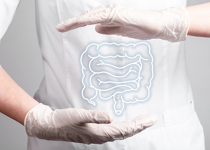 A importância da microbiota intestinal