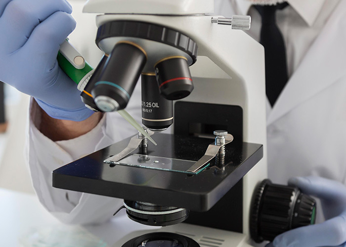 Probiótico para controlar colonização de S. aureus