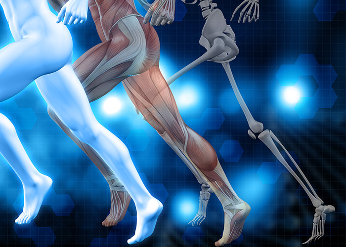 Pesquisadores desenvolvem diferentes scaffolds