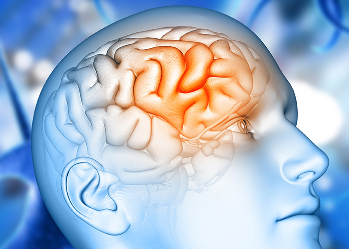 Córtex pré-frontal recupera funcionalidade