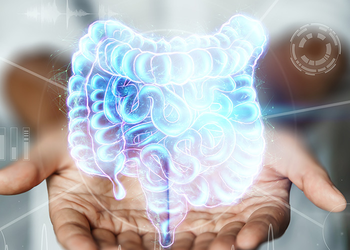 Probióticos tem efeito benéfico no intestino