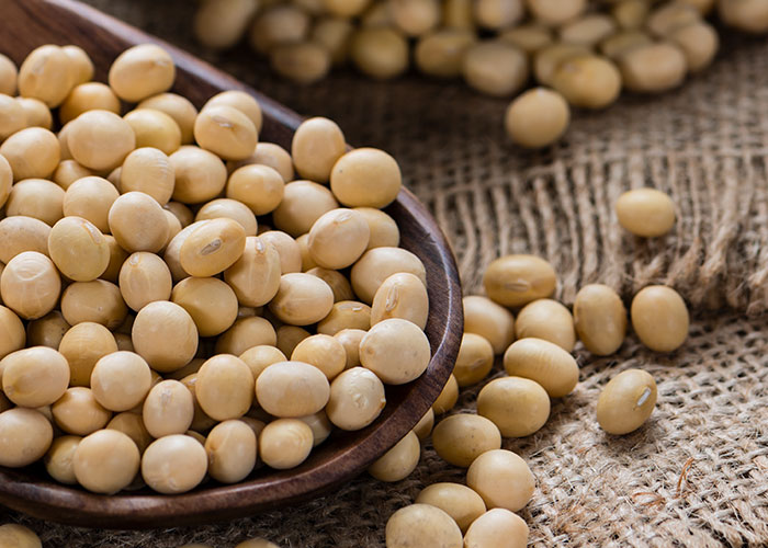 Soja é fonte de minerais e vitaminas