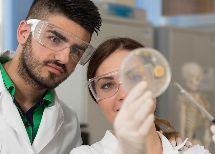 Taxonomia futura será mais transparente