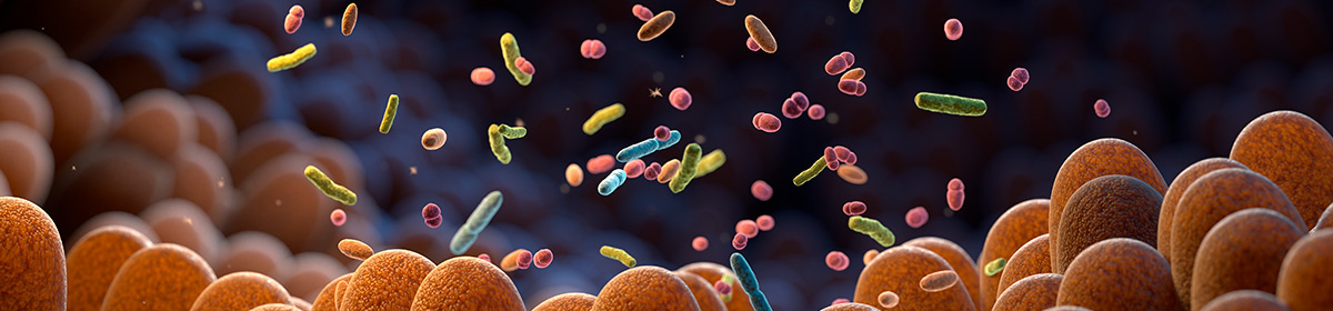 Bacteriocinas são peptídeos antimicrobianos