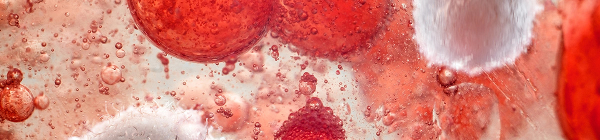 Impactar a microbiota intestinal