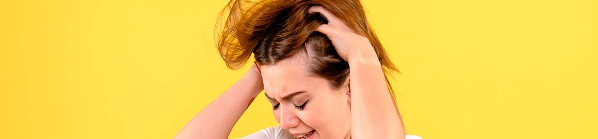 infestação de piolhos