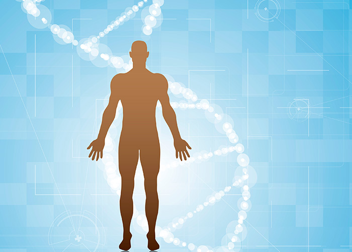 Genética ganha papel cada vez mais relevante