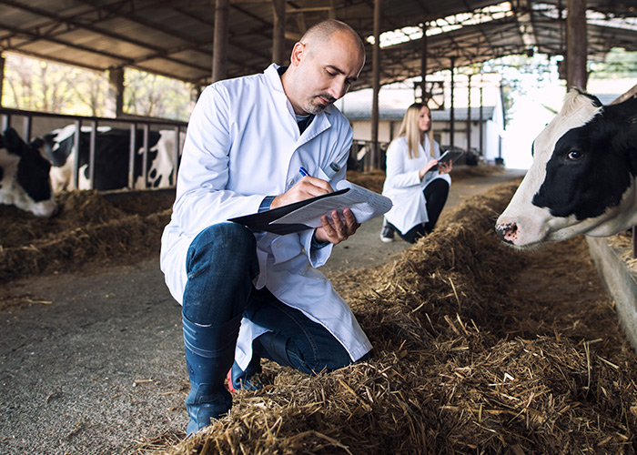 Facilitou o uso de probióticos