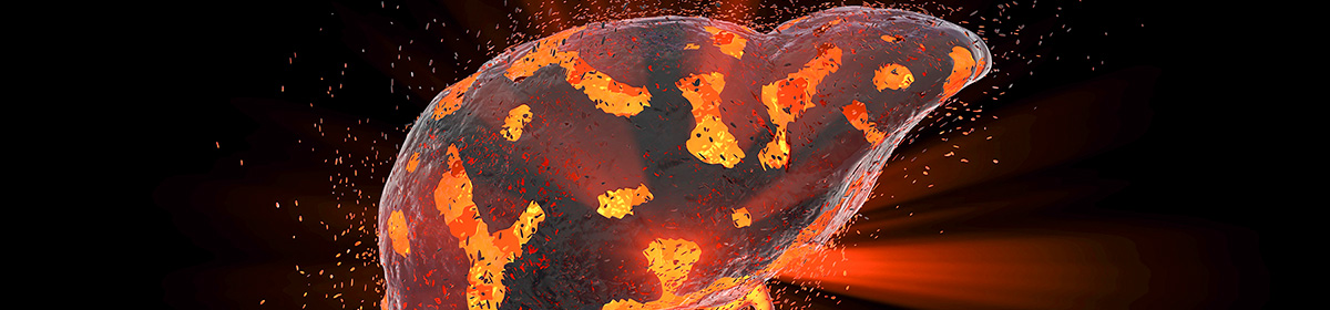 Fígado é um órgão vital