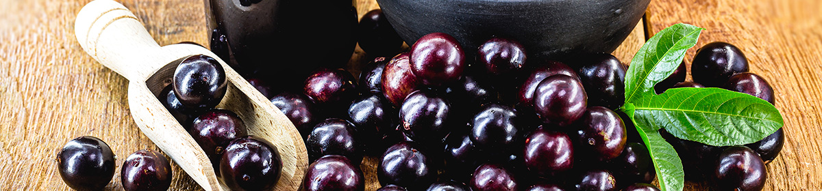 Jabuticaba é rica em compostos bioativos