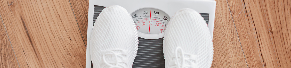 Microbiota intestinal e a obesidade