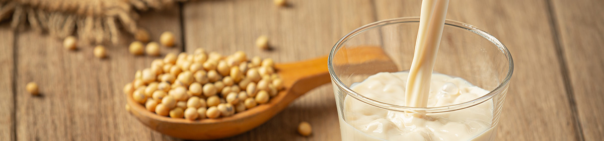 Extrato de soja Tonyu