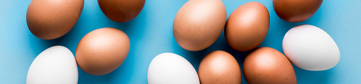 Nutrientes indispensáveis para a saúde