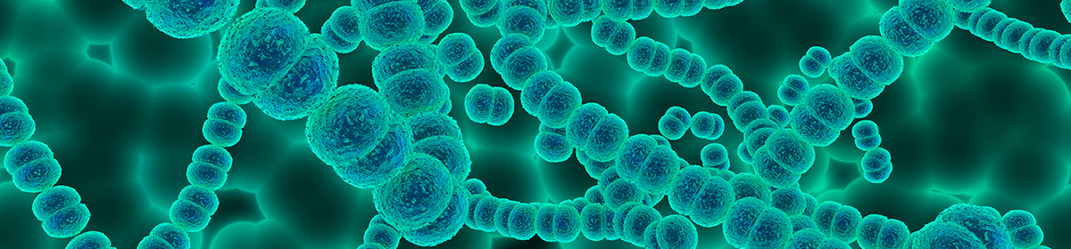 Eixo microbioma-intestino-cérebro