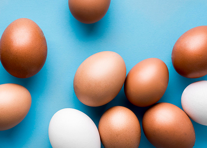 Nutrientes indispensáveis para a saúde