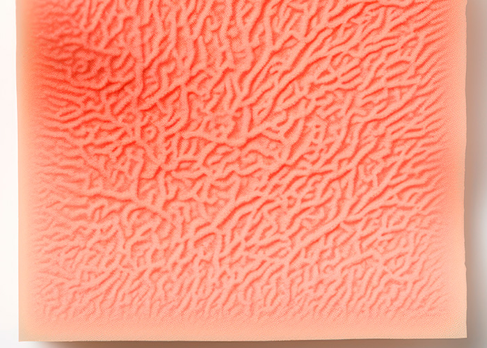 Hipoderme epiderme e derme