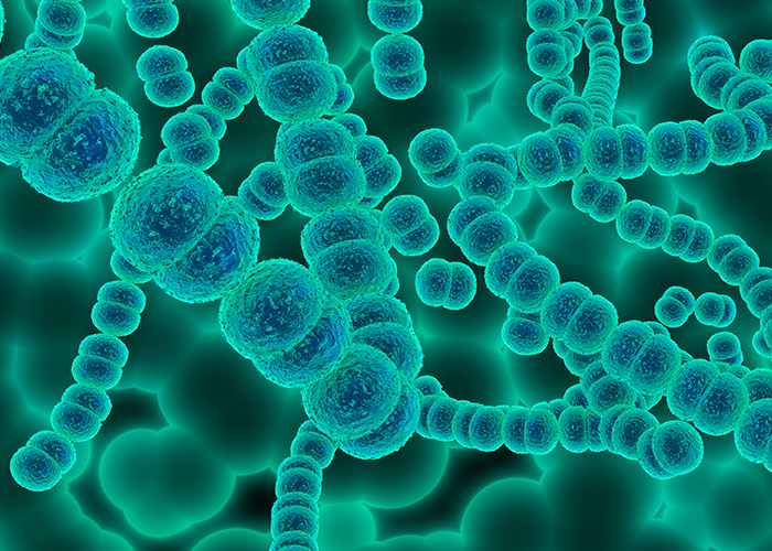 Eixo microbioma-intestino-cérebro