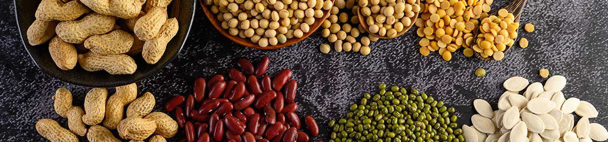 Fonte de proteínas vegetais