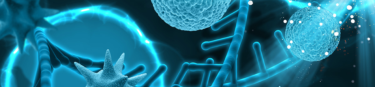 International Space Station