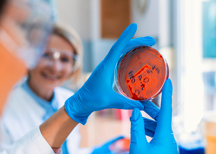 Tumores hematológicos