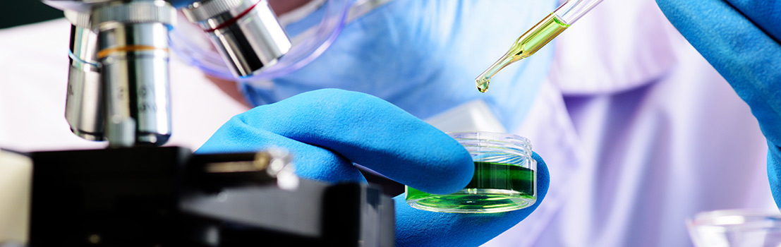 Amostras de diversos tipos