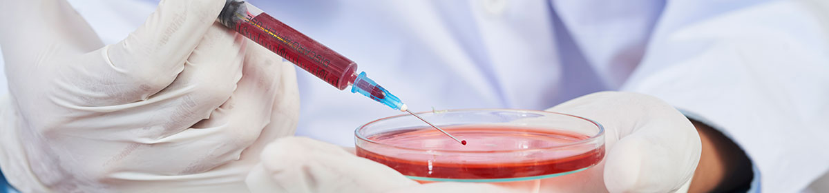 Impacto no sistema imunológico