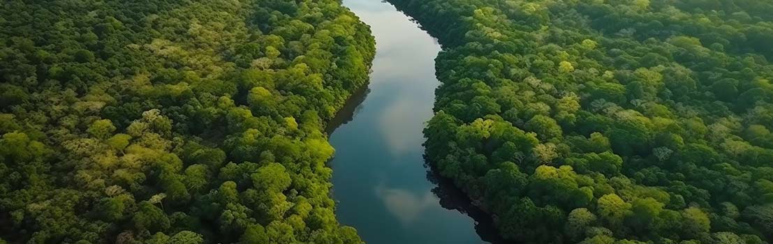 Projeto Saúde Infinita