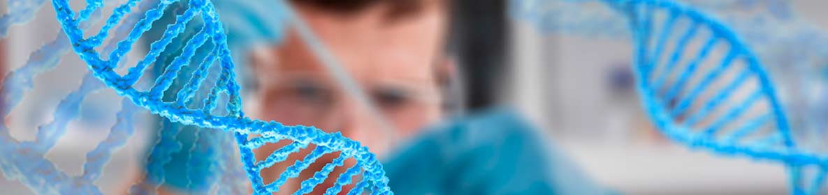 Microrganismos probióticos