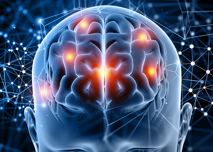 Fisiologia cerebral