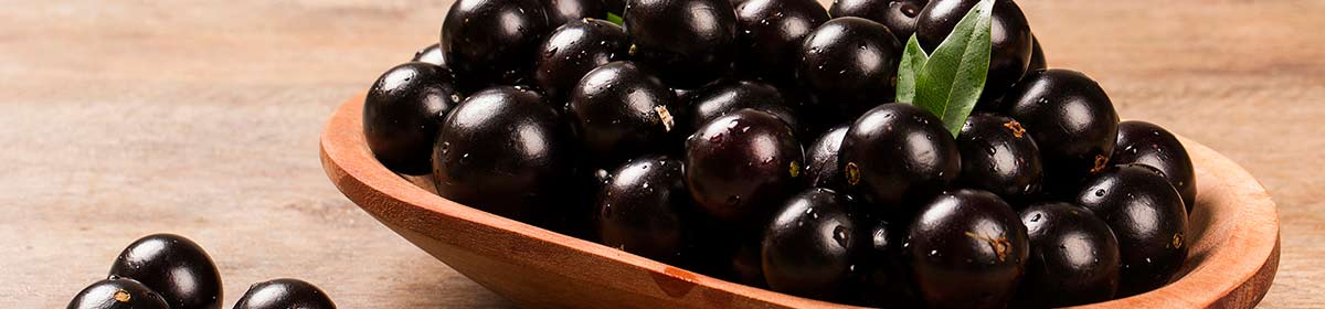 Frutas vermelhas são fontes de nutrientes