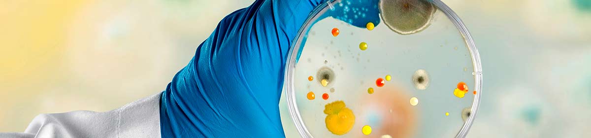 Bactérias resistentes a antibióticos