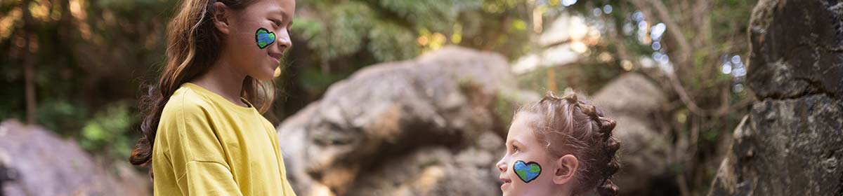 Chegada de um irmão