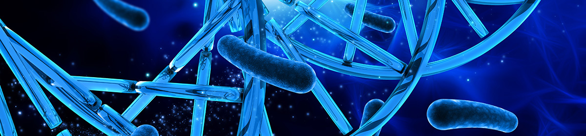 Espécies reativas de oxigênio