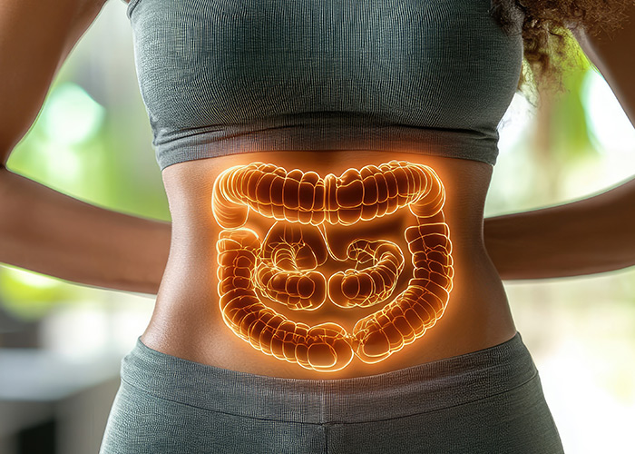 Funcionamento do intestino