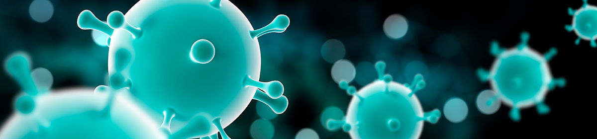 Microbiota intestinal e sistema imunológico