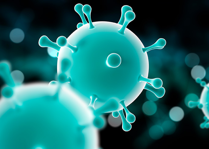 Microbiota intestinal e sistema imunológico
