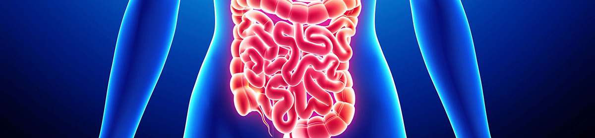 Função intestinal
