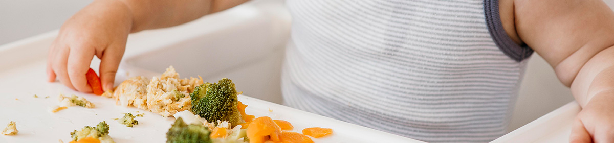 Introdução de alimentos