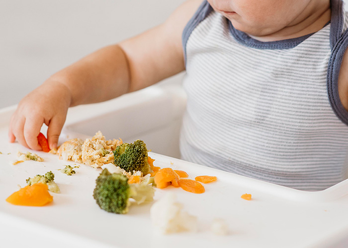 Introdução de alimentos