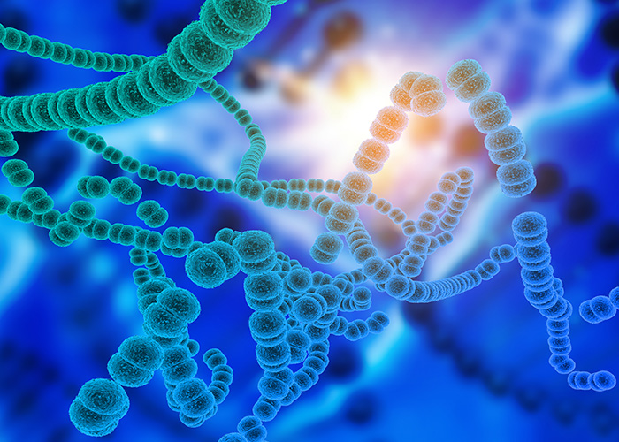 Microbioma humano