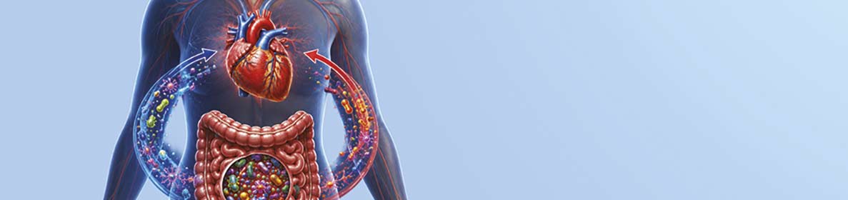 Doenças cardiovasculares