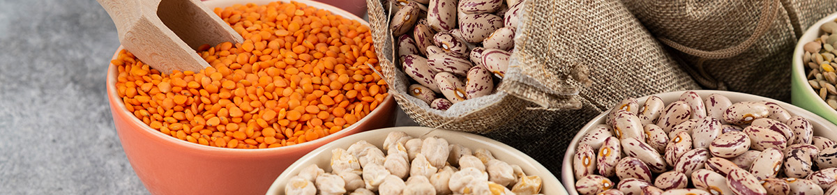 Saúde intestinal