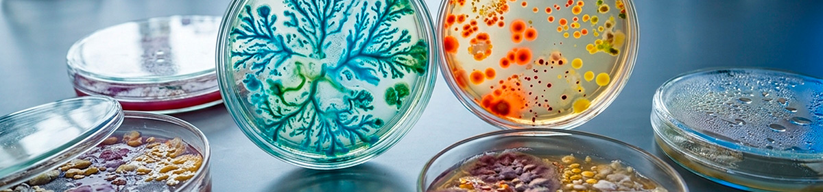 Comunidades microbianas
