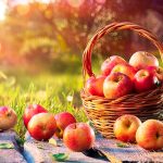 super-saudave-materia-da-edicao-fruticasa-recebe-certificacao-internacional Unidade fabril Fruticasa