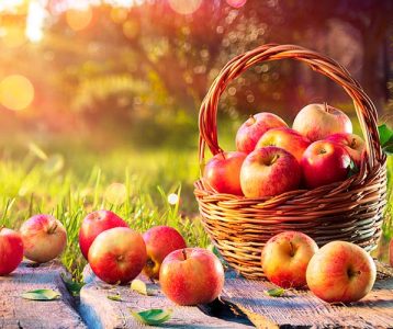 Unidade fabril Fruticasa