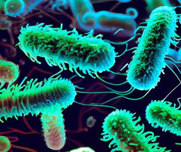 destaque-super-saudavel-edicao-103-microbiota-bacterias-intestinais