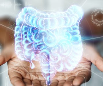 Probióticos tem efeito benéfico no intestino