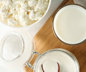 Lacticaseibacillus paracasei Shirota