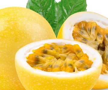 Microbiota intestinal e as DCNT